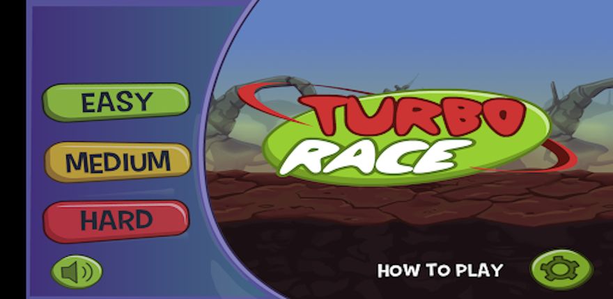 Turbo Race
